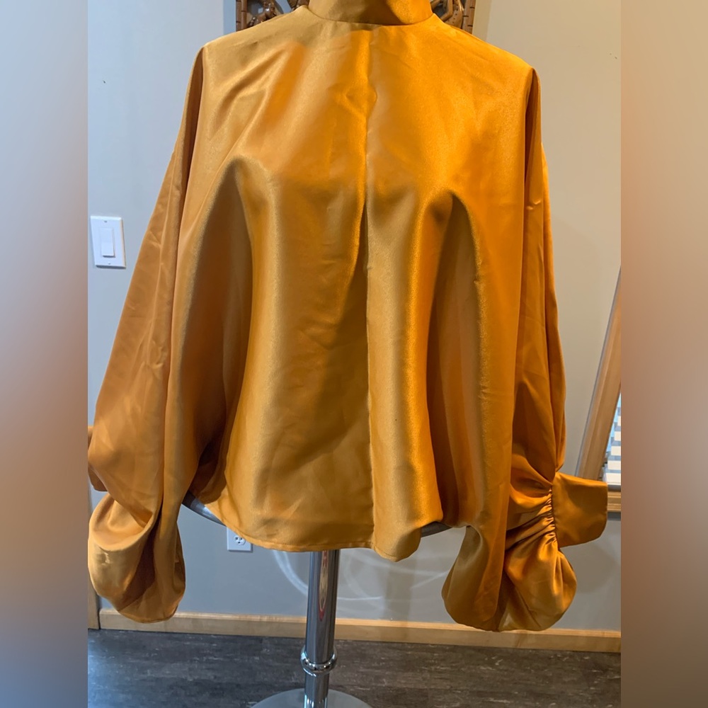 Elegant Gold Satin Blouse

G3 0226
